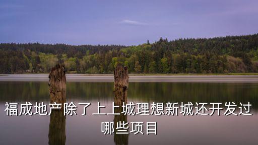 廣安地產深圳項目，神州天立在廣安有什么項目呢