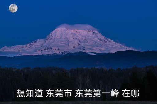 東莞第一峰露營，東莞第一峰有燒烤場嗎