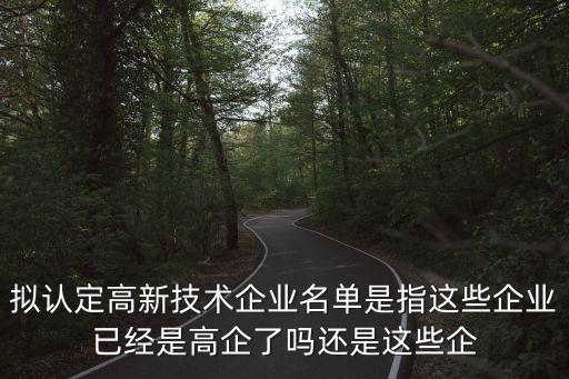 上海市2019高新技術(shù)企業(yè)公示，擬認(rèn)定高新技術(shù)企業(yè)名單是指這些企業(yè)已經(jīng)是高企了嗎還是這些企