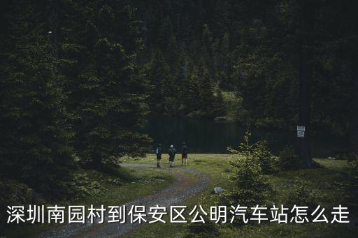 南園村到深圳東站，南園村到羅湖火車站坐什么車