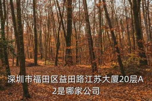 深圳市福田區益田路江蘇大廈20層A2是哪家公司