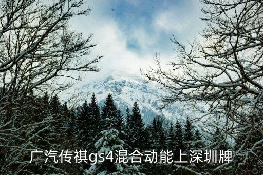 廣汽傳祺gs4混合動能上深圳牌