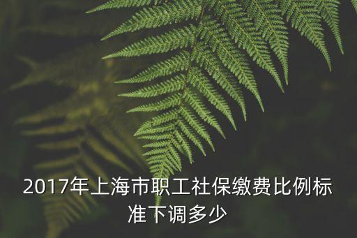 2017年上海市職工社保繳費比例標準下調多少