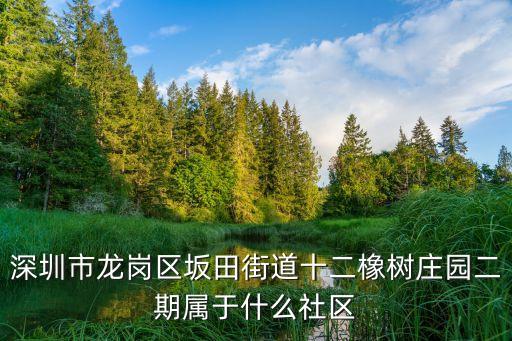 深圳市龍崗區坂田街道十二橡樹莊園二期屬于什么社區