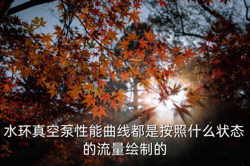水環(huán)真空泵性能曲線都是按照什么狀態(tài)的流量繪制的