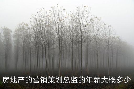 營銷總監在深圳的平均工資，市場營銷總監工資收入多少