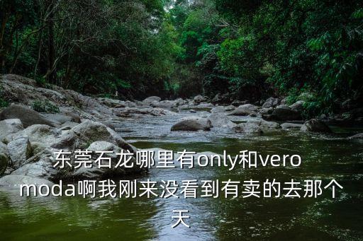 東莞石龍哪里有only和vero moda啊我剛來沒看到有賣的去那個天