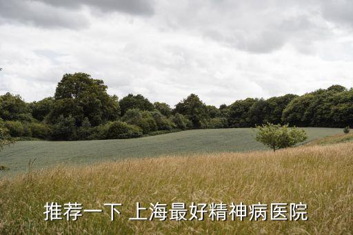 推薦一下 上海最好精神病醫院
