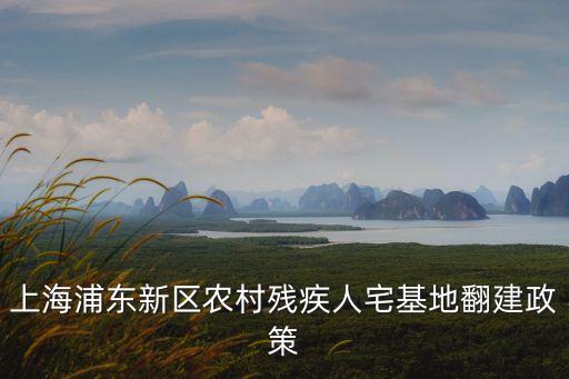 上海浦東新區農村殘疾人宅基地翻建政策