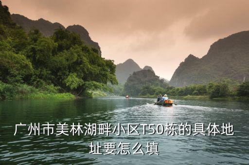 廣州美林湖畔地址381號，廣州市美林湖畔小區T50棟的具體地址要怎么填