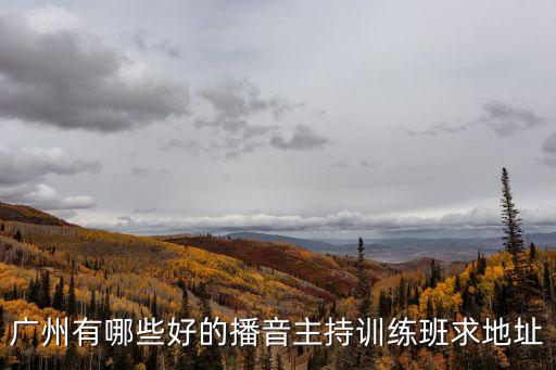 廣州有哪些好的播音主持訓練班求地址