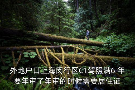 上海市閔行區政策，上海市閔行區人均最低應該是多少才可以申請低保或補助