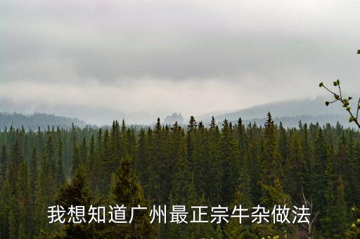 我想知道廣州最正宗牛雜做法
