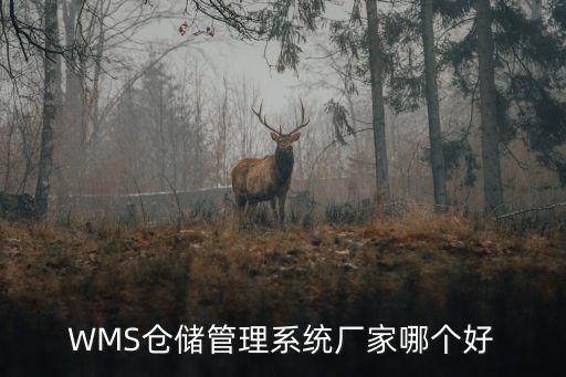 WMS倉儲管理系統廠家哪個好