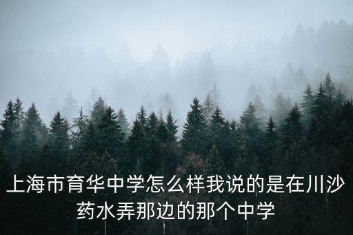上海市育華中學(xué)怎么樣我說(shuō)的是在川沙藥水弄那邊的那個(gè)中學(xué)