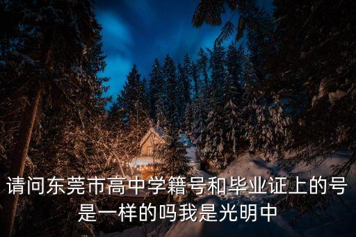 東莞市光明高中畢業照，東莞市光明實驗學校