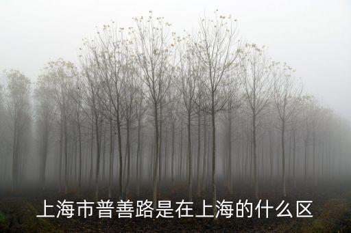 上海市普善路是在上海的什么區