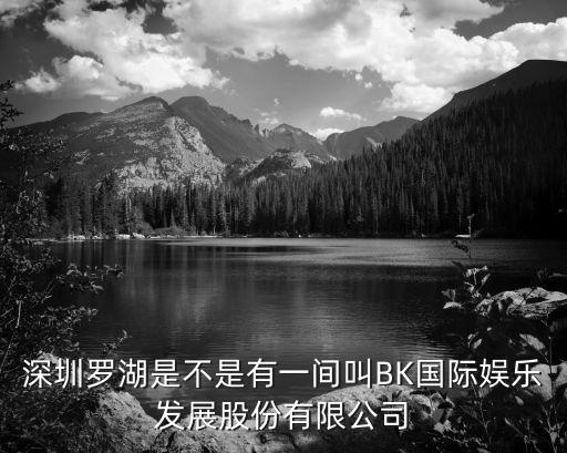 Beko深圳，深圳羅湖是不是有一間叫BK國際娛樂發展股份有限公司