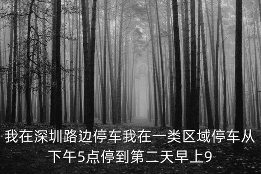 2020深圳路邊停車，深圳路邊停車收費時間寫著80017001700后是不能停高峰時間