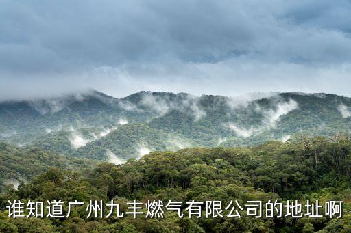 誰知道廣州九豐燃氣有限公司的地址啊