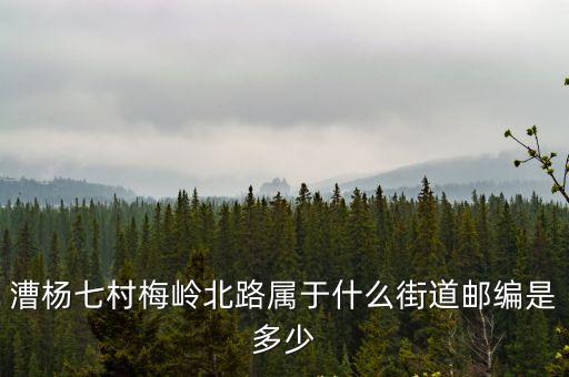 上海市普陀區梅嶺北路1168弄57號，梅嶺北路1168弄屬于什么街道