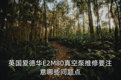 英國愛德華E2M80真空泵維修要注意哪些問題點