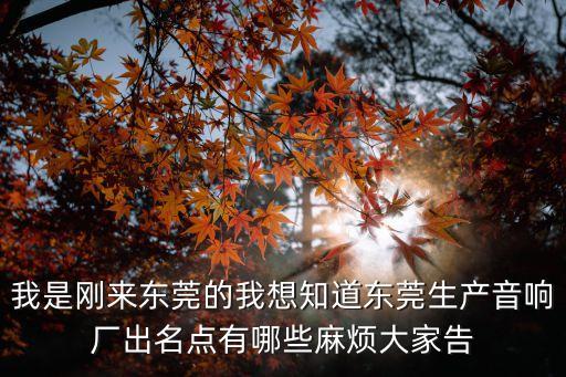 東莞插卡藍牙音箱廠家，我是剛來東莞的我想知道東莞生產音響廠出名點有哪些麻煩大家告