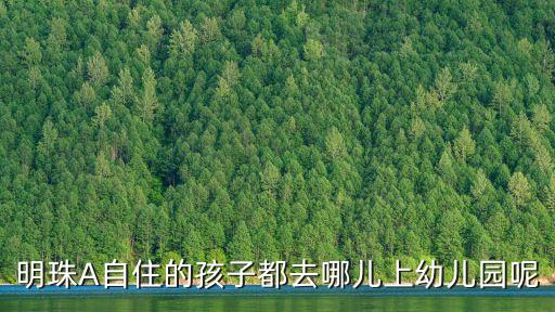 深圳市漁村明珠幼兒園報名，明珠幼兒園何時報名