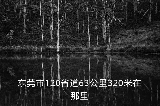 東莞市120省道63公里320米在那里