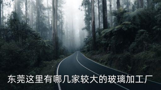 東莞這里有哪幾家較大的玻璃加工廠