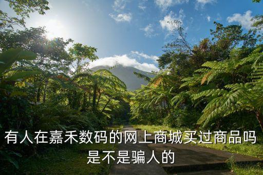 有人在嘉禾數碼的網上商城買過商品嗎是不是騙人的