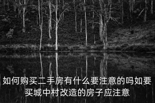 如何購買二手房有什么要注意的嗎如要買城中村改造的房子應(yīng)注意