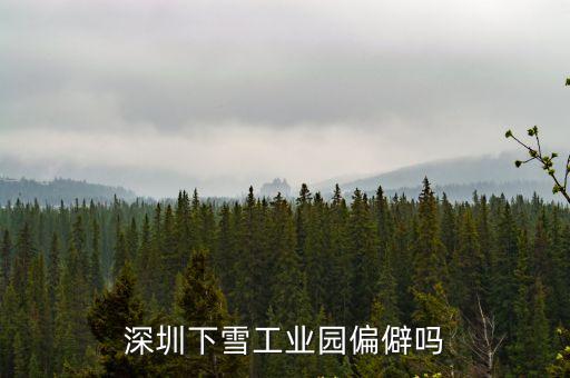 深圳市雪實業，請問深圳下雪工業區那有什么工廠工資高點的