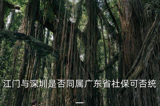 江門與深圳是否同屬廣東省社保可否統一