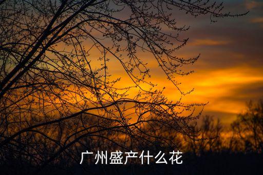 廣州菊圖片大全，廣州盛產什么花