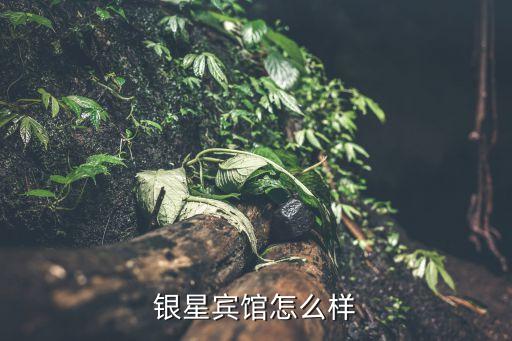 東莞銀星商務酒店天眼查，東莞市長安鎮沙頭聯合大廈708是什么公司