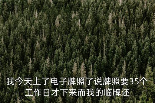 我今天上了電子牌照了說牌照要35個工作日才下來而我的臨牌還