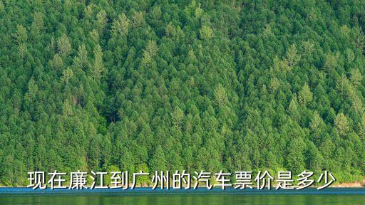 aa巴士電話廉江到廣州，現(xiàn)在廉江到廣州的汽車票價(jià)是多少