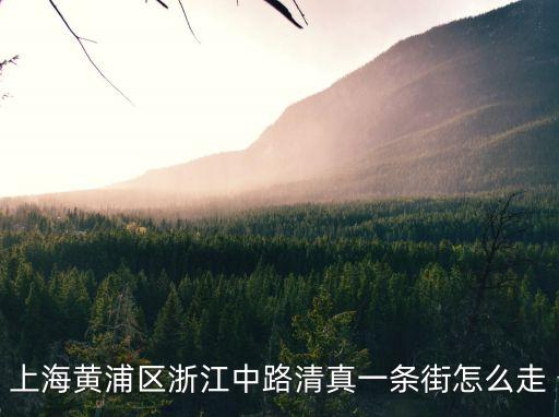 上海黃浦區(qū)浙江中路清真一條街怎么走