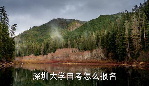 愛華教育深圳大學報名，很多同學建義我去愛華教育集團那邊學習我想去那邊報名有了比較了