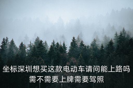深圳市羅湖區電動車要駕駛證嗎，深圳地區48cc助力車要駕駛證嗎