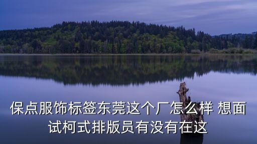 東莞賽維印刷實業(yè)有限公司怎么樣，賽維網(wǎng)絡(luò)科技有限公司怎么樣