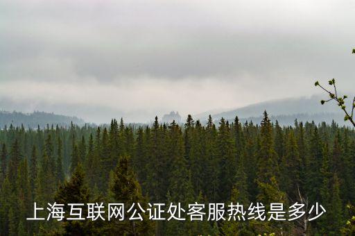上海互聯(lián)網(wǎng)公證處客服熱線是多少
