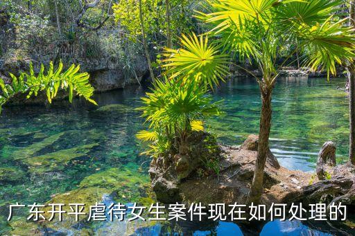 廣東開(kāi)平虐待女生案件現(xiàn)在如何處理的