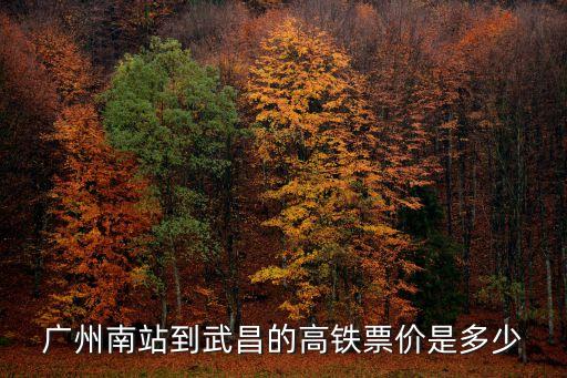 廣州南站至武昌動車，廣州南站有高鐵到湖北武昌嗎