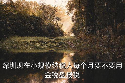 深圳報稅必須用稅控盤嗎，報稅盤一定要買嗎