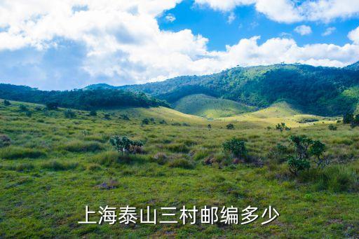 上海泰山三村郵編多少