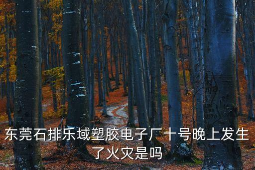 東莞石排樂域電子，東莞石排樂域塑膠電子廠十號晚上發生了火災是嗎