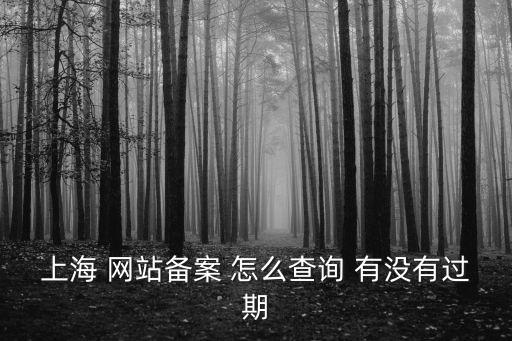 上海 網站備案 怎么查詢 有沒有過期