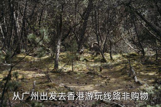 從廣州出發去香港游玩線路非購物